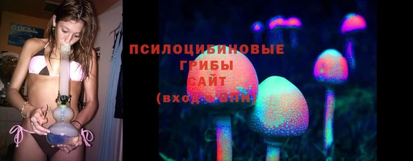 ешки Балахна