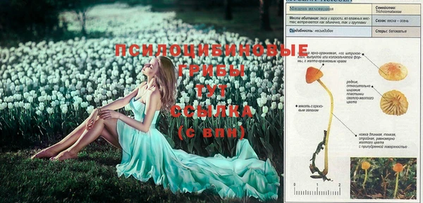 метадон Балабаново